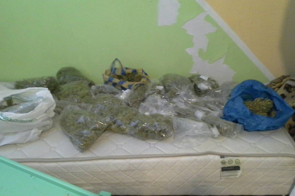 Оранжерии за джойнт откриха в столичния квартал "Разсадника" (СНИМКИ) 