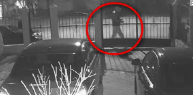 Изрод с БМВ трови кучета в Бургас! Джак ръселът Майло умря в адски мъки (ВИДЕО)