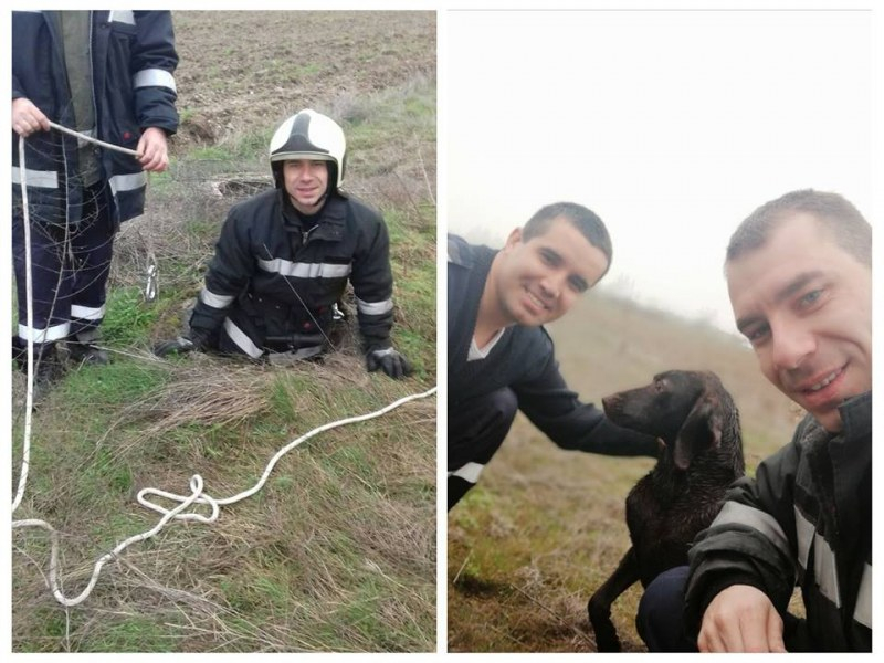 За пример! Пожарникари спасиха куче от сигурна смърт, спуснаха се в 4-метрова шахта, а после...