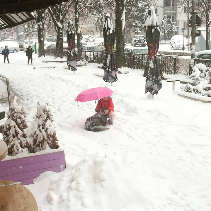 Това малко ангелче стопли сърцата на перничани (СНИМКА)