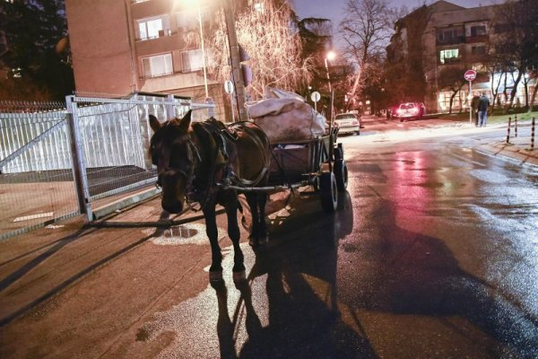 Такова чудо с кобила и роми на софийска улица не е ставало досега! (СНИМКИ)