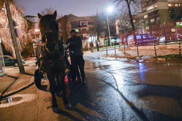 Такова чудо с кобила и роми на софийска улица не е ставало досега! (СНИМКИ)