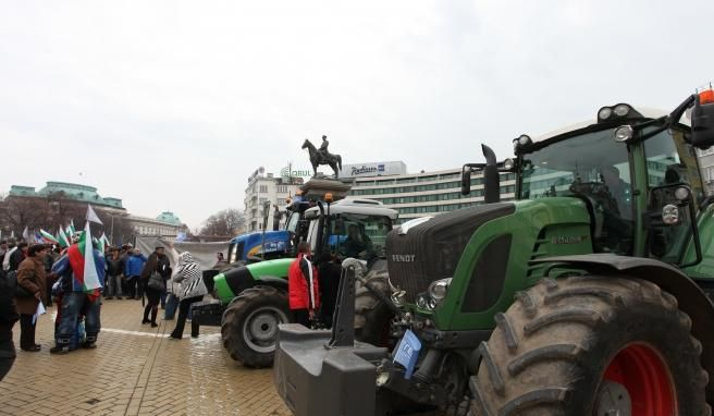 Зърнопроизводителите плашат с протест!
