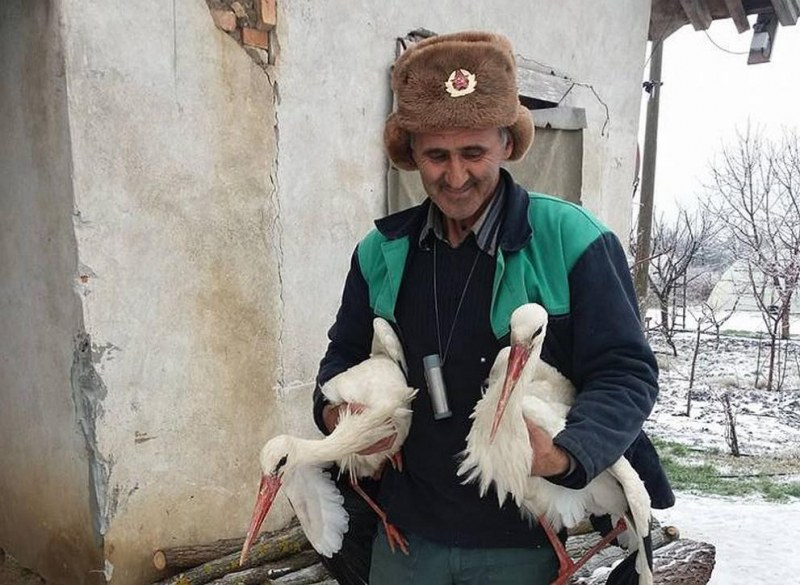 Спасителят на бедстващите щъркелите в Силистренско има нужда от помощ