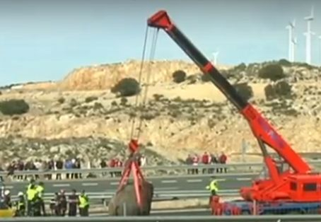 Слонове блокираха магистрала в Испания и се разигра голяма трагедия (ВИДЕО)