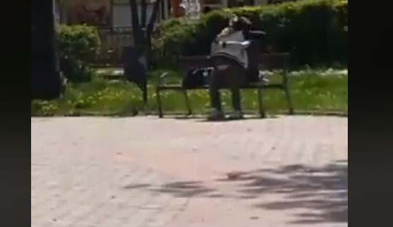 Само в БЛИЦ! Скандално ВИДЕО и СНИМКИ 18+ изловиха как разгонена двойка прави секс посред бял ден в столичен парк