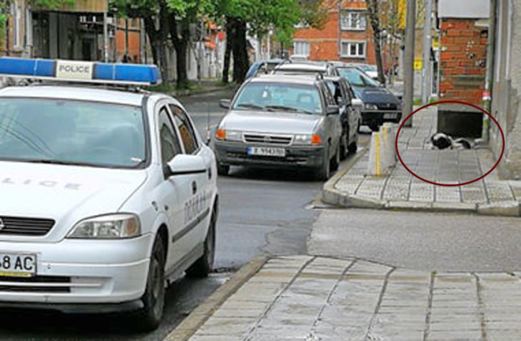 Зрелищна акция в Хасково! Полицаи преследват агресивно куче по улиците на “Бадема” (СНИМКИ)