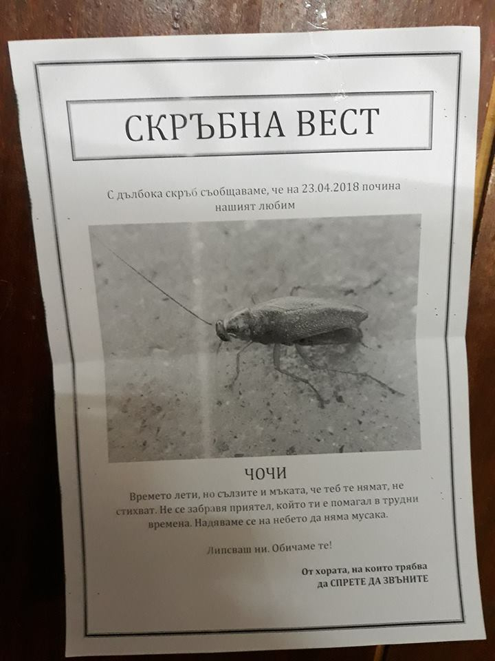 Защо учениците от 127-мо СУ в София се спукват от смях с този некролог? (СНИМКА)