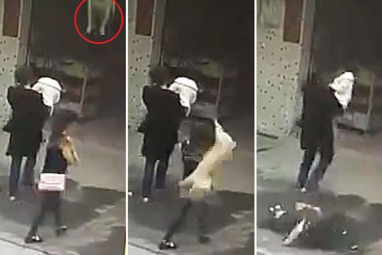 Жена получи сътресение поради инцидент с "летящо" куче (ВИДЕО)