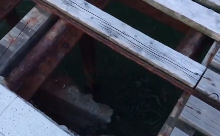 Възмутен читател на БЛИЦ показа потресаващо ВИДЕО, заснето в Слънчев бряг