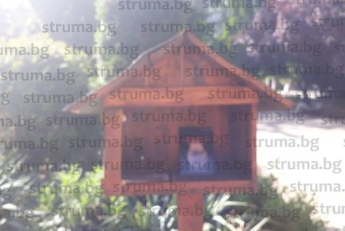 Сектанти правят бая грозни неща в Кюстендил