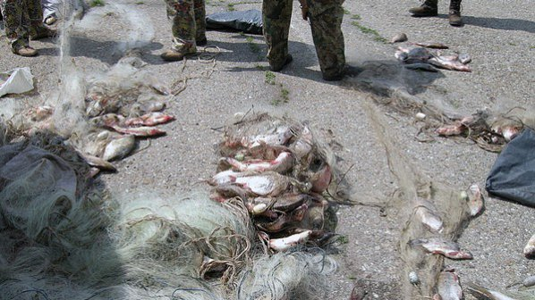 Страшни истории се случват в река Огоста