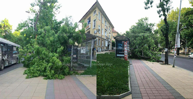 Кърджали на косъм от трагедия!