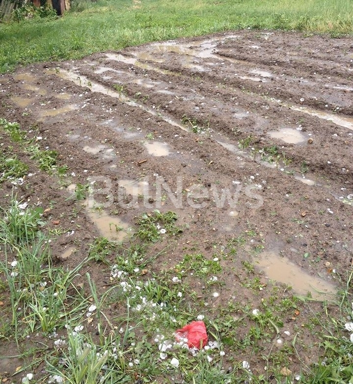 Градушка колкото топка за голф помля за минути врачанско село (СНИМКИ)