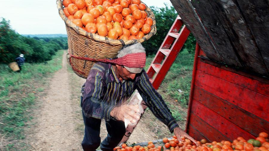 Учените откриха смъртоносна опасност за мъжете от физическо натоварване 