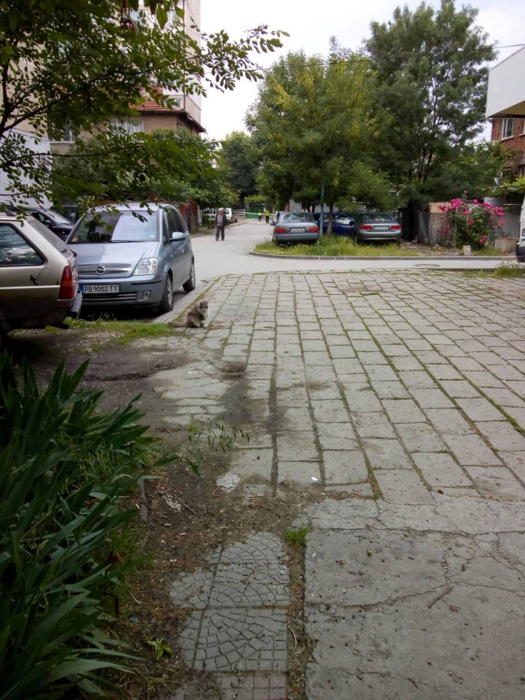 Първо в БЛИЦ! Военен командос замесен в касапницата в Пловдив, наръгал е мъж след скандал (СНИМКА)