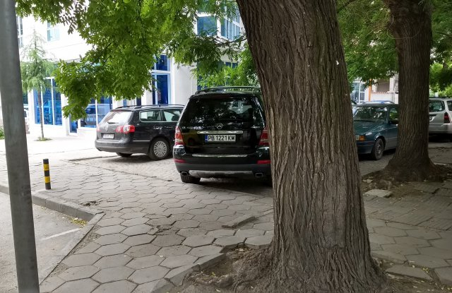 Това, което направи Цар Киро, накара пловдивчани да онемеят (СНИМКИ)