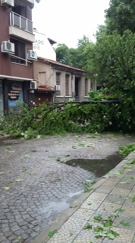 Ето каква е ситуацията в Пловдив след мощната буря (СНИМКИ)