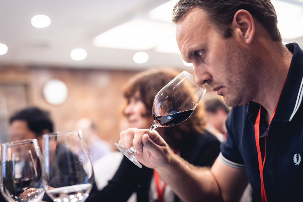 Ново признание за българските вина! Розетата на New Bloom Winery спечелиха два златни медала на Световното по вино