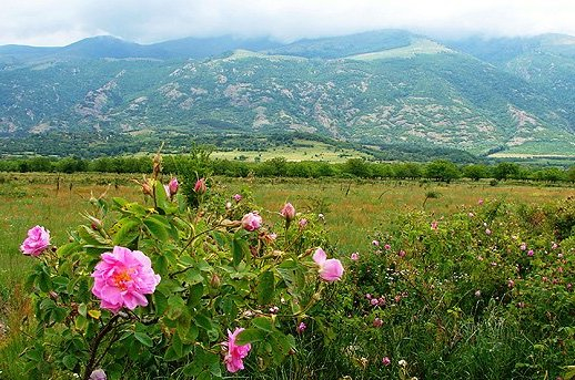 Българин доведе германската си приятелка в Долината на розите и тракийските царе и направи нещо, което завинаги ще промени живота ѝ (СНИМКА)