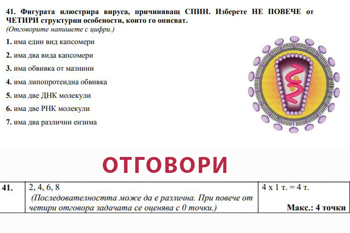 Пак скандал: Откриха грешка и в матурата по биология! Посочиха верен отговор, който... не съществува
