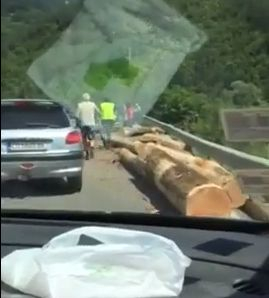 Само в БЛИЦ! Зрелищно ВИДЕО 18+ от жестокото меле със сплесканата кола в Искърското дефиле!