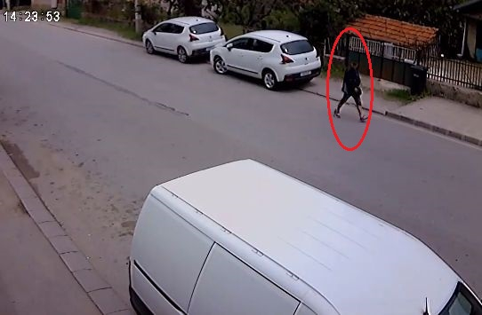 Мрежата беснее заради тази крупна и много нагла кражба посред бял ден в Железница (ВИДЕО)