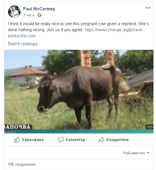 Кравата Пенка вече е световна знаменитост! Защити я и сър Пол Макартни!