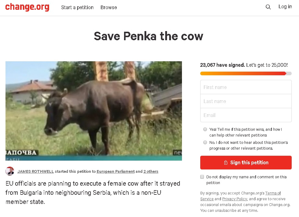 Кравата Пенка вече е световна знаменитост! Защити я и сър Пол Макартни!