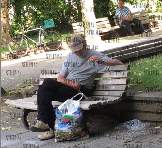 Кюстендилци такова нещо не са виждали: Мъж излезе на разходка с жена си, която се оказа... змия (СНИМКА)