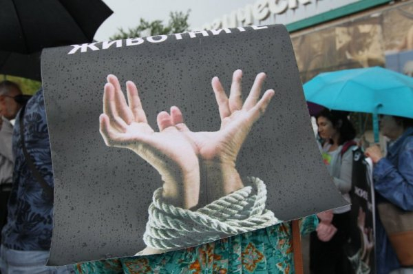 Вегани с нова щура инициатива: Да се затвори зоопаркът в столицата (СНИМКИ)