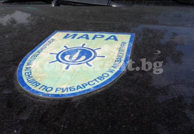 Екшън: Бракониер влачи служител на ИАРА