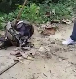 Смели тайландци измъкнаха куче от устата на огромен питон (ВИДЕО)