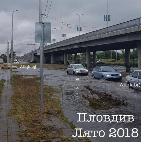 Есента през юни не успя да сломи пловдивчани, а чувството им за хумор взриви мрежата (СНИМКИ) 