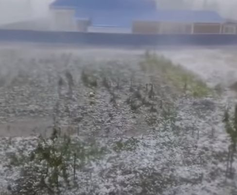 Ледени топки за тенис заваляха от небето и съсипаха Краснодар (ВИДЕО)