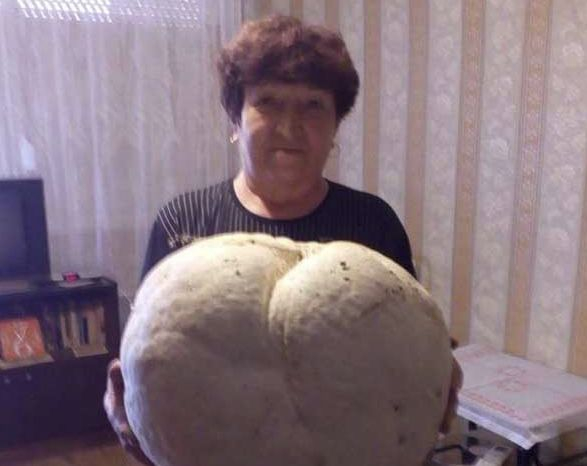 Цветанка и Димитър се натъкнаха на истински шедьовър на природата близо до къщата си в Пелатиково