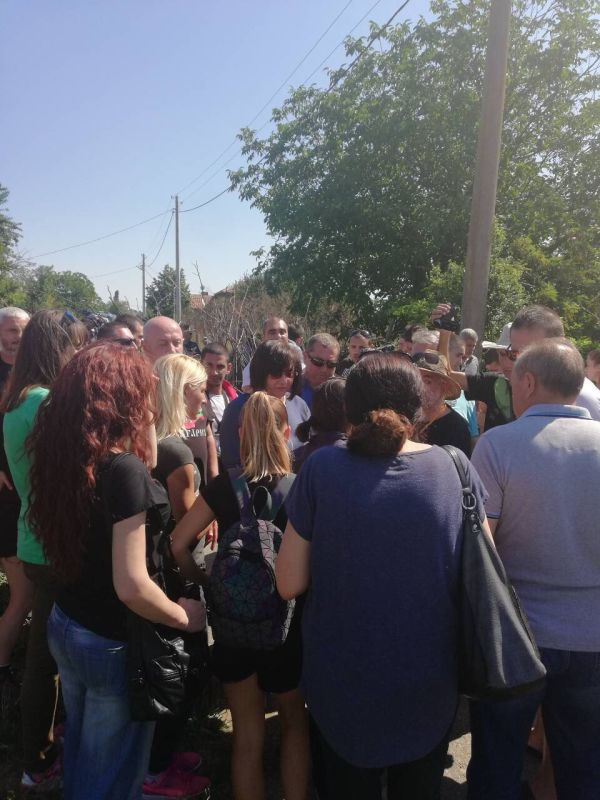 Нинова от Шарково: Пускаме спешно жалба до Прокуратурата, с която искаме спиране на заповедта за избиване на животните