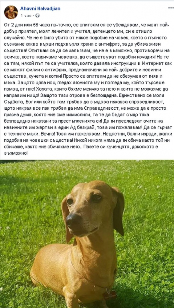 Братовчедката на Маги Халваджиян потъна в скръб! (СНИМКИ)