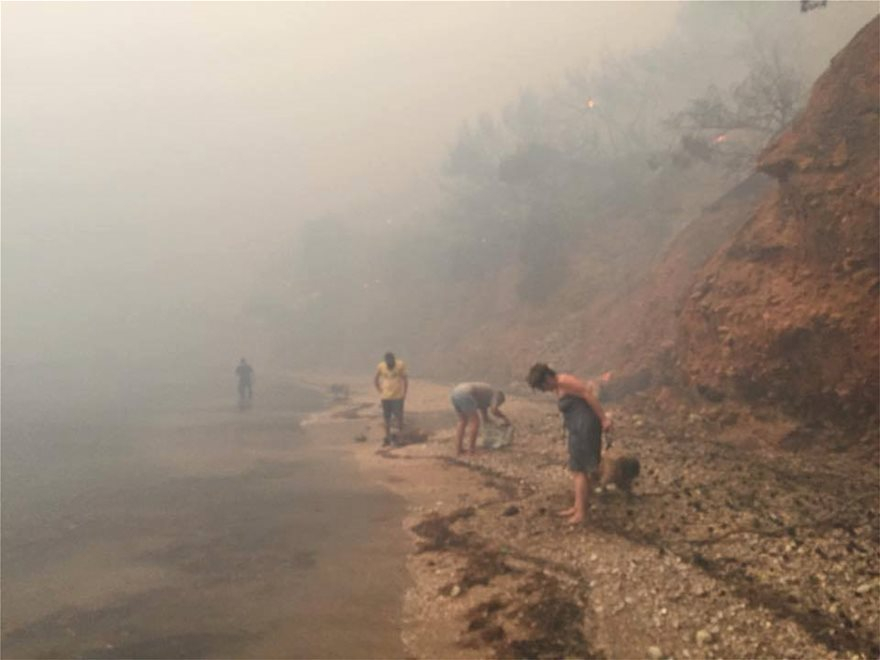 Фоторепортер за ужаса в Гърция: Купчини овъглени трупове на хора се виждат само на 15 метра от морето (СНИМКИ/ВИДЕО 18+) 