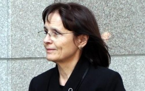 Политически мотиви в делото за Пирин