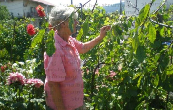 Две сестри от село Слокощица наследиха къща от покойната си майка и се случи природен феномен, който шашна всички (СНИМКА)