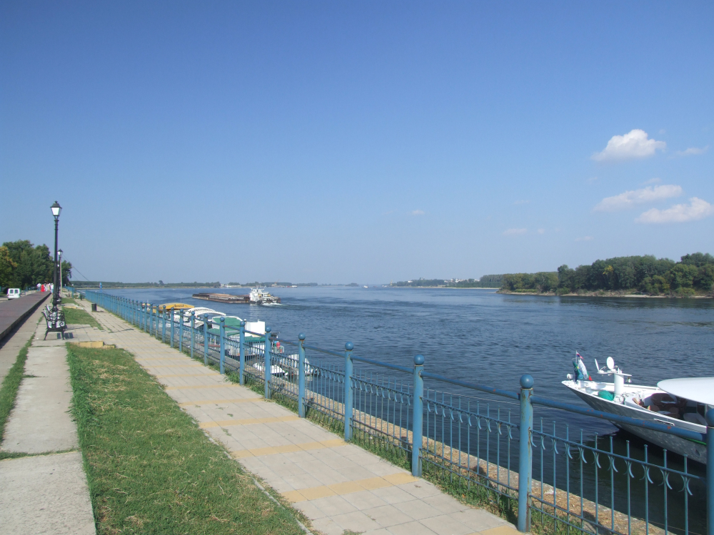 Голяма беля с ферибота при ГКПП-Свищов