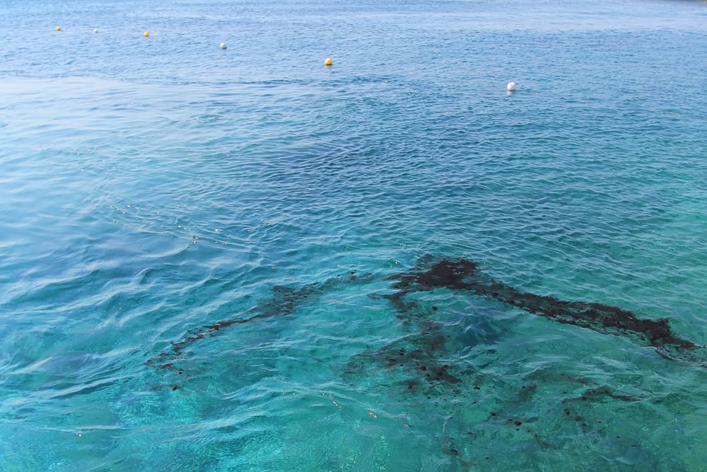 И в Северно море разляха нефт, но още не знаят как 