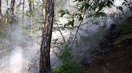 Добрата новина от Карлово: Овладяха пожара в Балкана, ще го охраняват поне седмица (СНИМКИ/ВИДЕО)