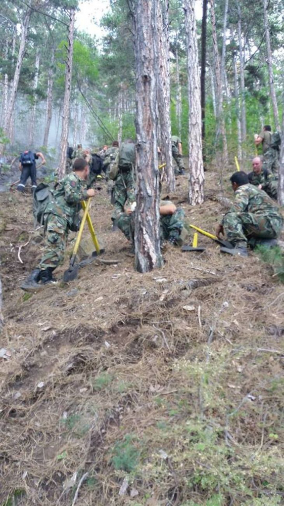Военните се притекоха на помощ в Балкана (СНИМКИ)