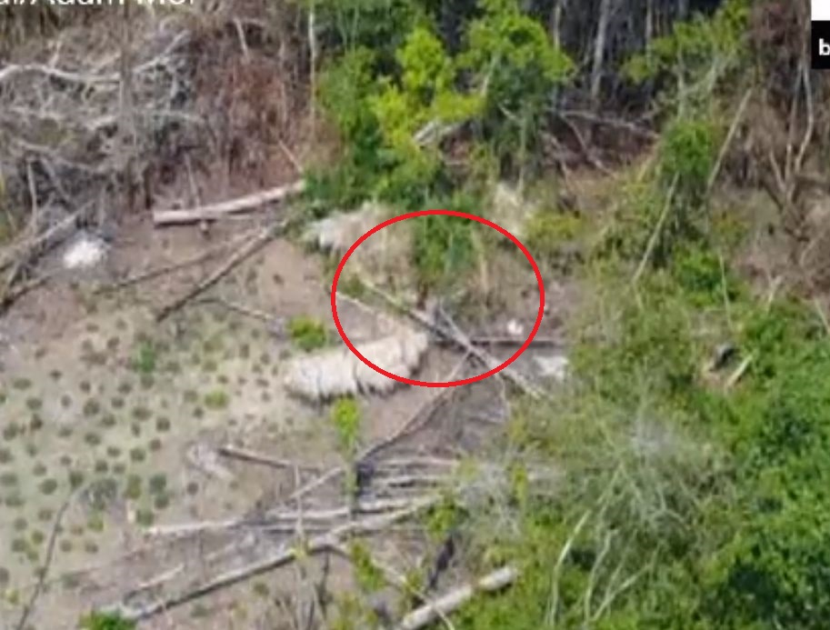 Дрон засне нещо супер мистериозно в Амазонската джунгла (СНИМКИ/ВИДЕО)