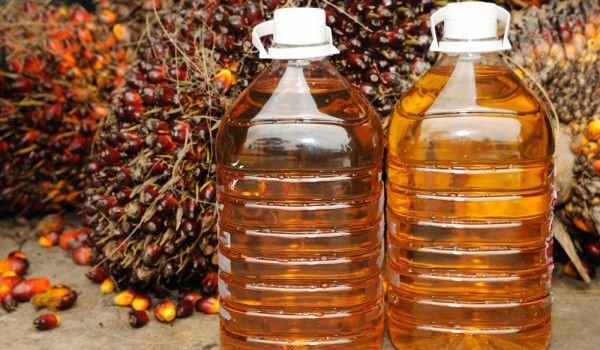 Важно за потребителите: СПИСЪК на производителите на млечни продукти, които използват палмово масло