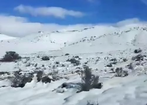 Сняг засипа Южна Африка, жирафи и слонове си пробиват път в преспите (ВИДЕО)