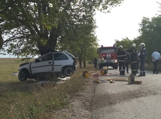 Млада жена загуби живота си под вековно дърво в Шуменско 