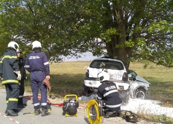 Млада жена загуби живота си под вековно дърво в Шуменско 